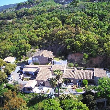 Les Aurochs Bed & Breakfast Grimaud Bagian luar foto