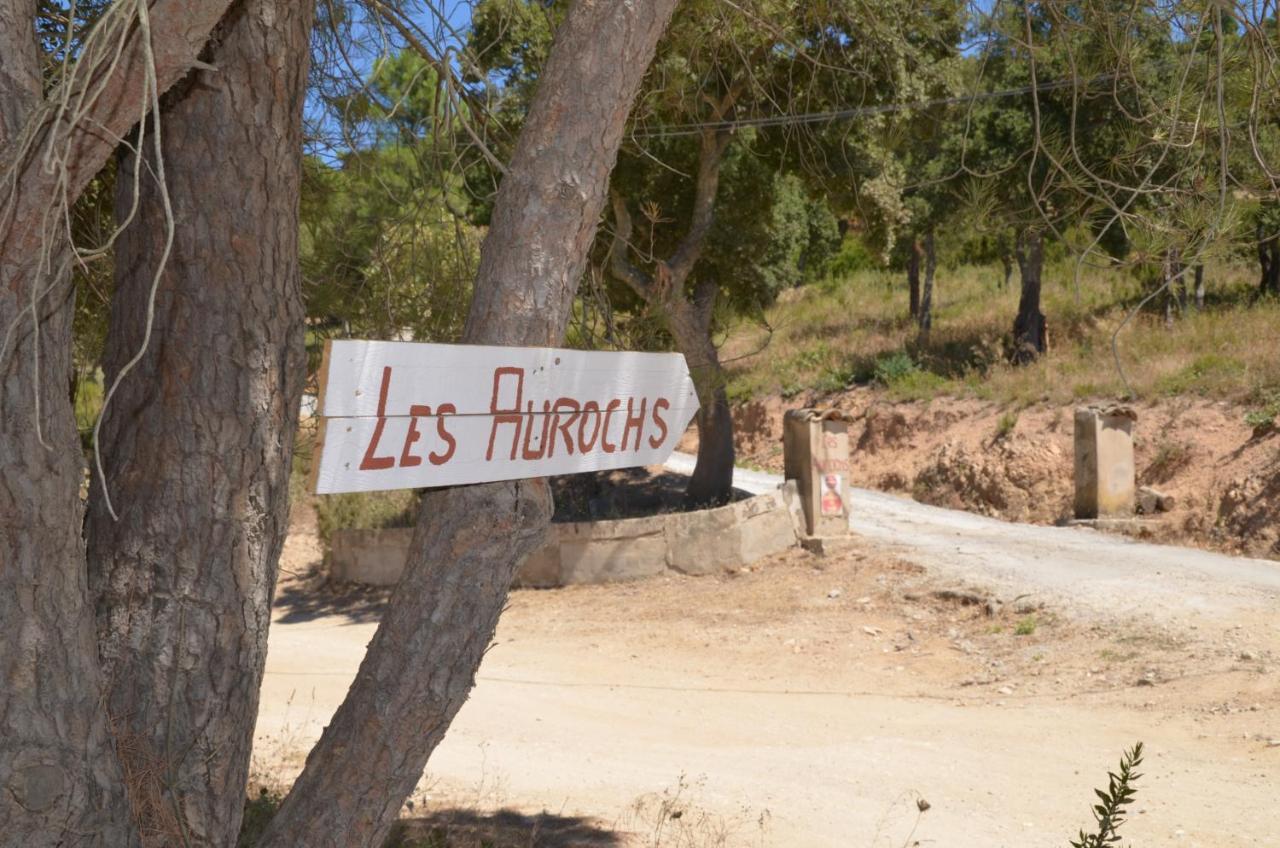 Les Aurochs Bed & Breakfast Grimaud Bagian luar foto