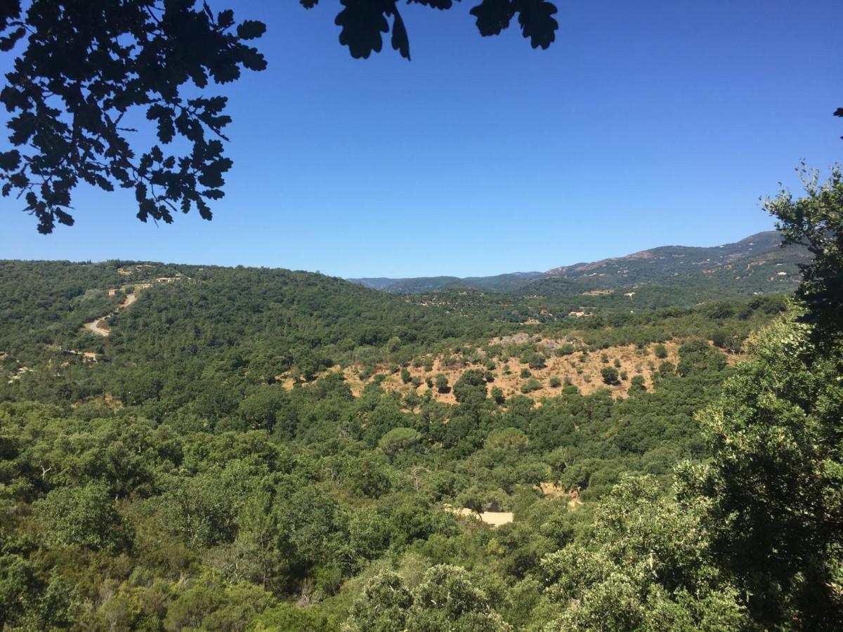 Les Aurochs Bed & Breakfast Grimaud Bagian luar foto