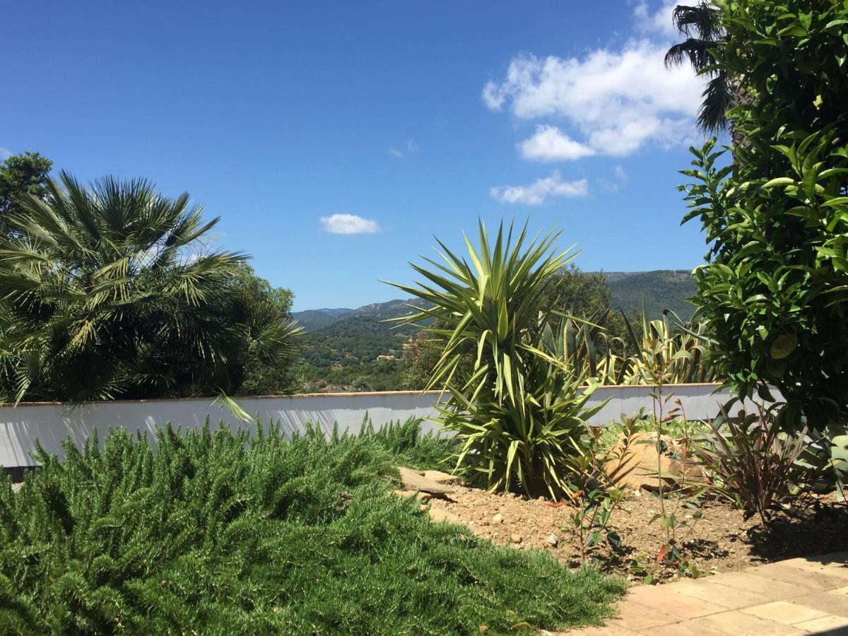 Les Aurochs Bed & Breakfast Grimaud Bagian luar foto